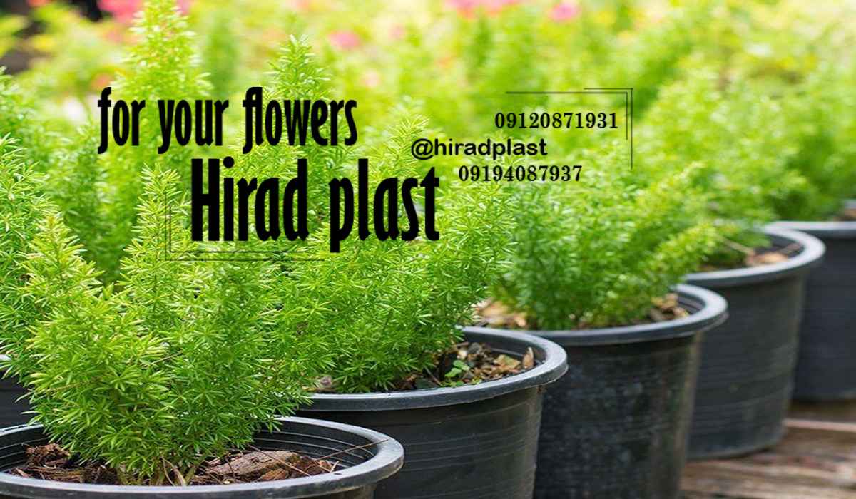 گلدان پلاستیکی عمده