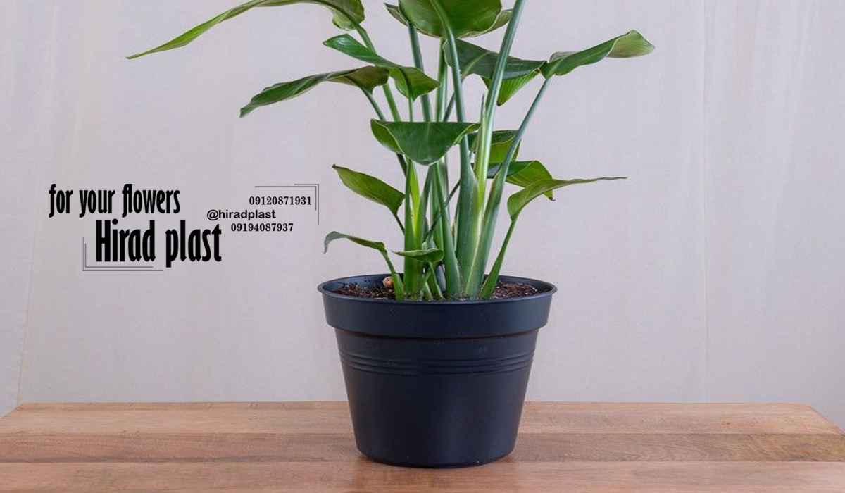 گلدان پلاستیکی گلخانه ای