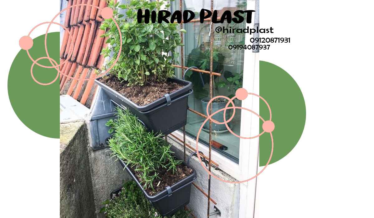 گلدان اپارتمانی