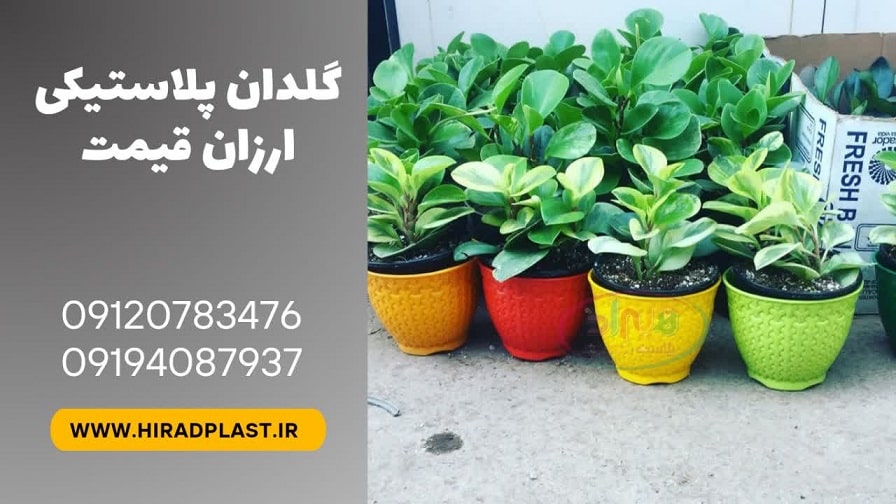 گلدان پلاستیکی ارزان قیمت