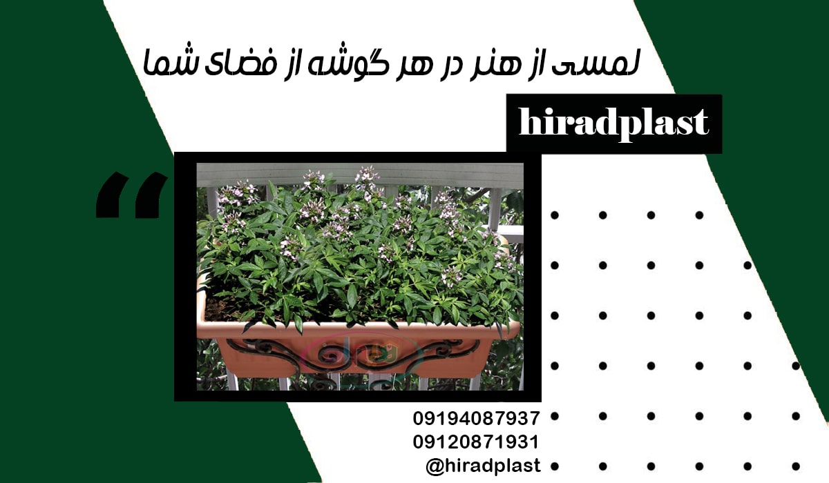 گلدان پلاستیکی