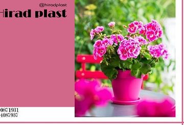 گلدان پلاستیکی