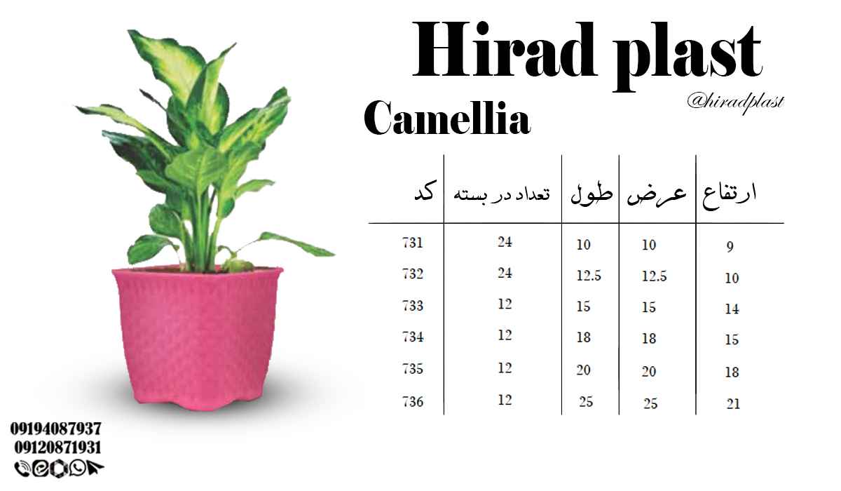 گلدان پلاستیکی رنگی