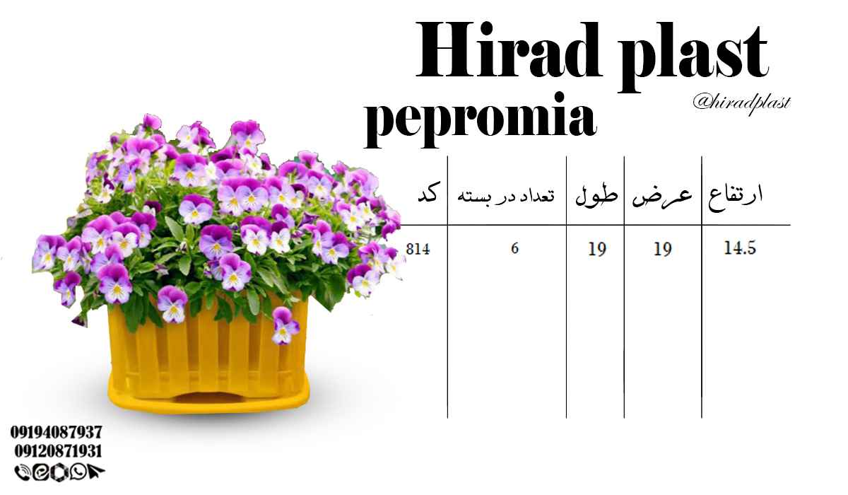 گلدان پلاستیکی کوچک