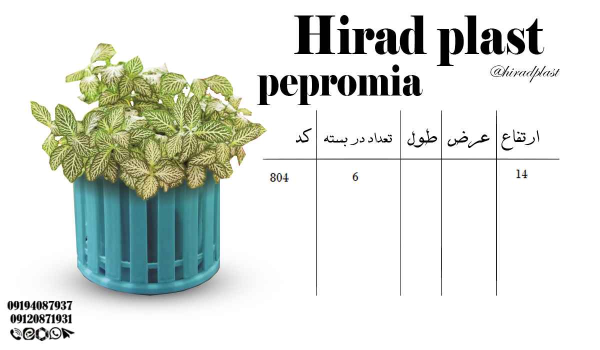 گلدون پلاستیکی