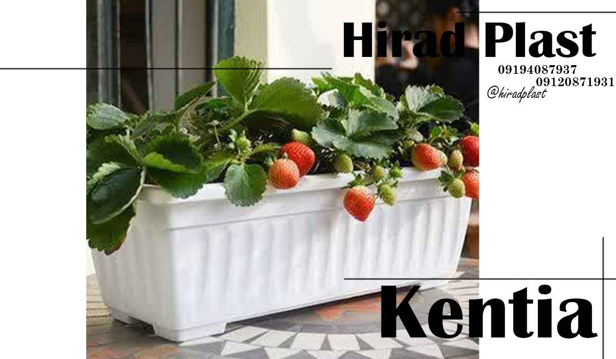 خرید گلدان پلاستیکی