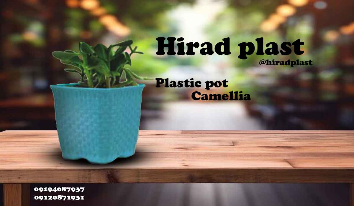 خرید گلدان پلاستیکی رنگی