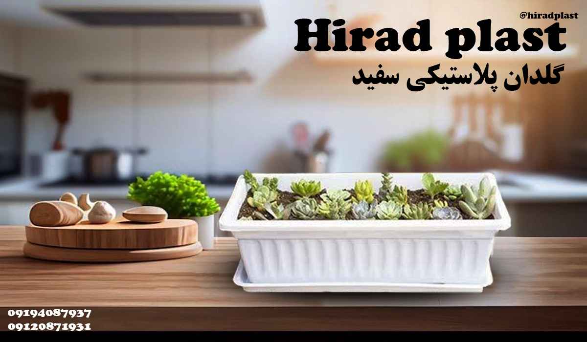 گلدان مدل کنتیا