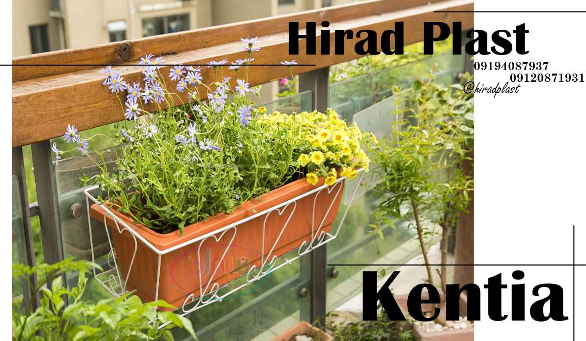 گلدان پلاستیکی کنتیا