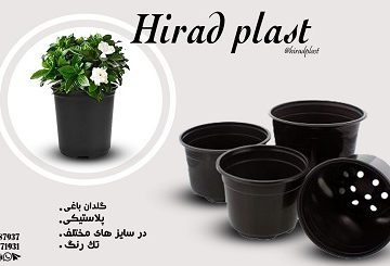 گلدان ژله ای