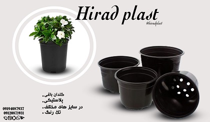 گلدان ژله ای