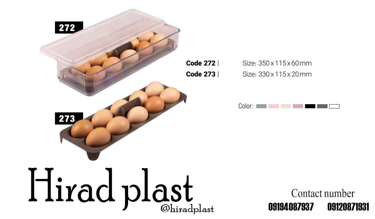 جای تخم مرغ پلاستیکی