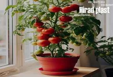 گلدان پلاستیکی گرد