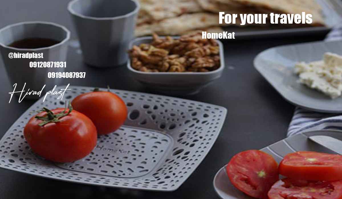 سرویس پلاستیکی سفری