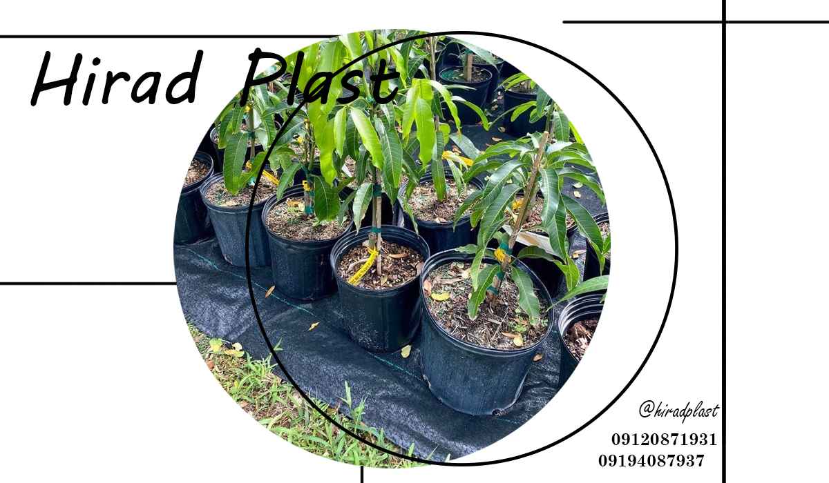 خرید گلدان مشکی