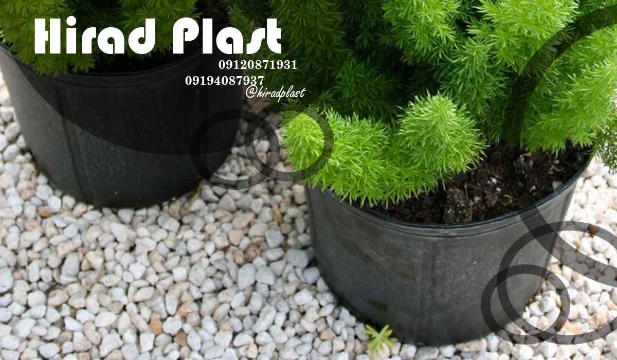 خرید گلدان پلاستیکی