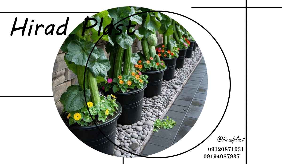 گلدان باغی دیجی کالا