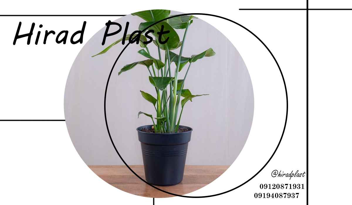 گلدان باغی مشکی