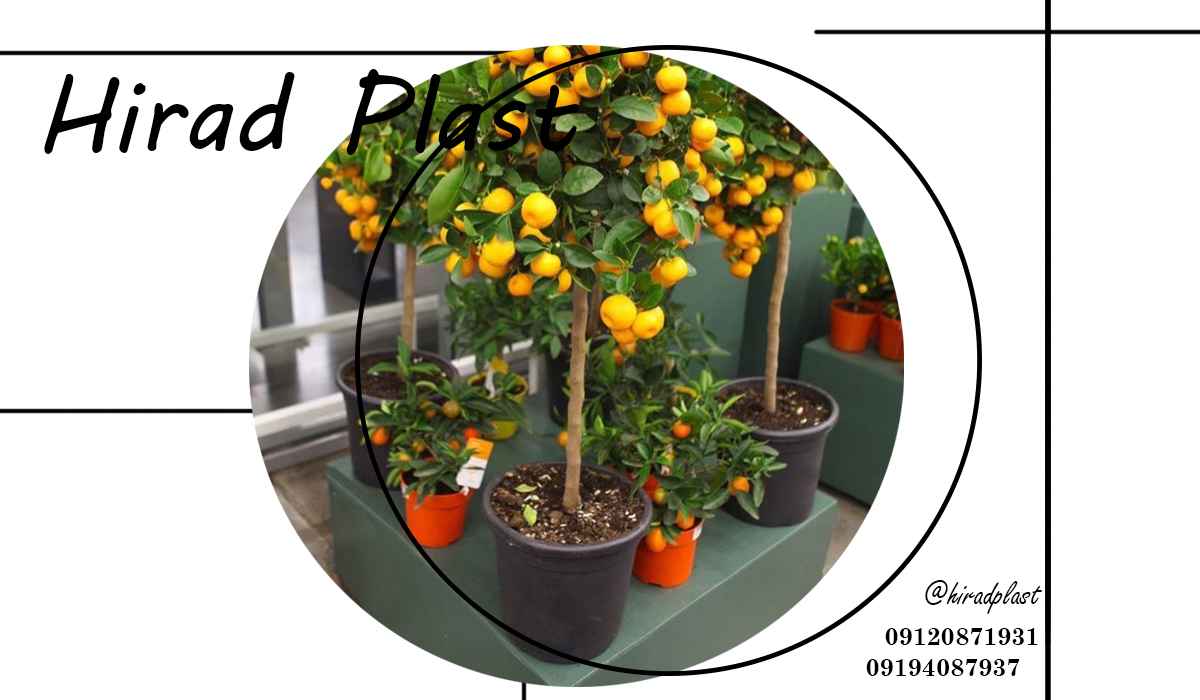 گلدان باغی پلاستیکی