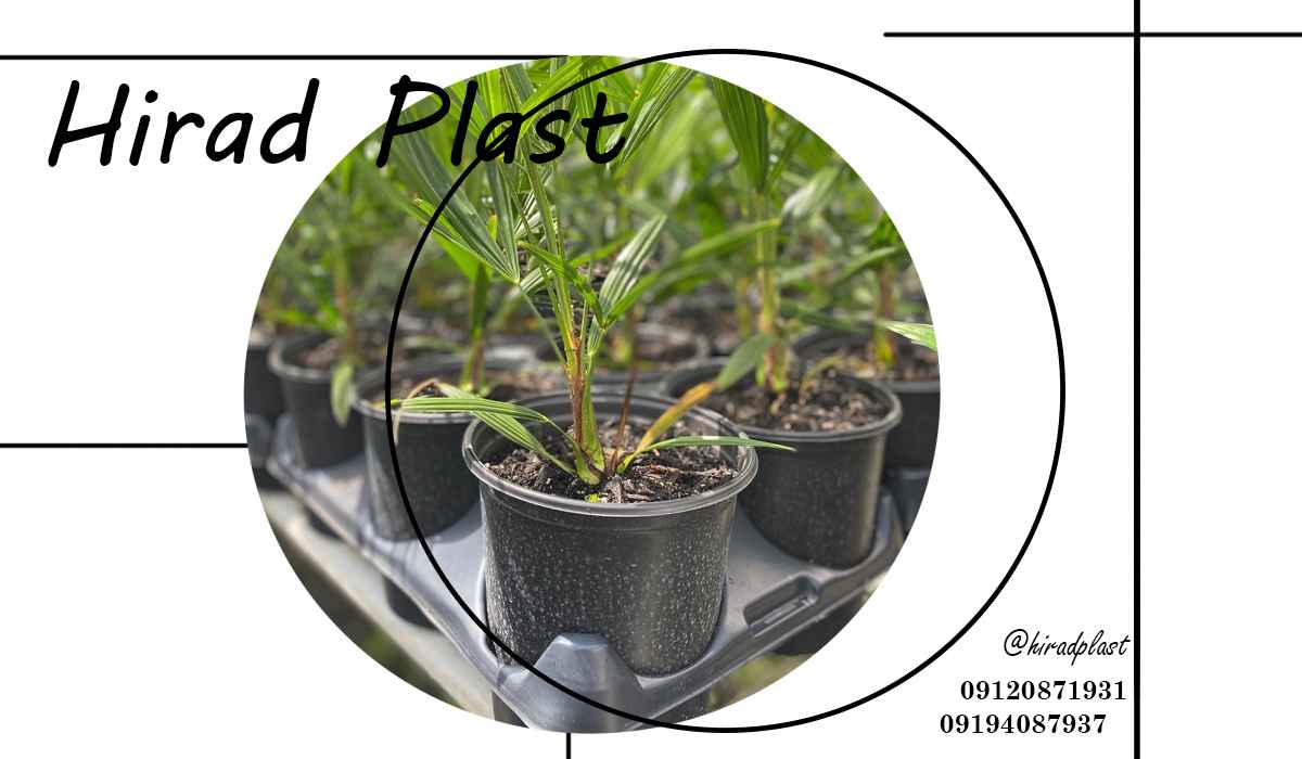 گلدان مشکی گلخانه ای