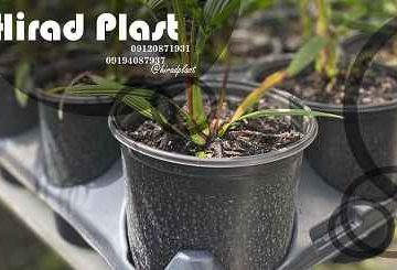 گلدان پلاستیکی