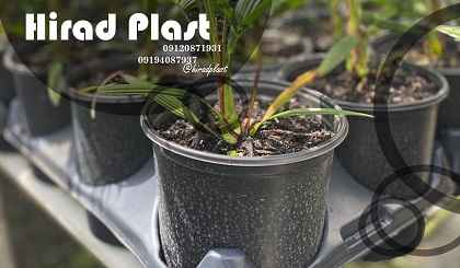 گلدان پلاستیکی