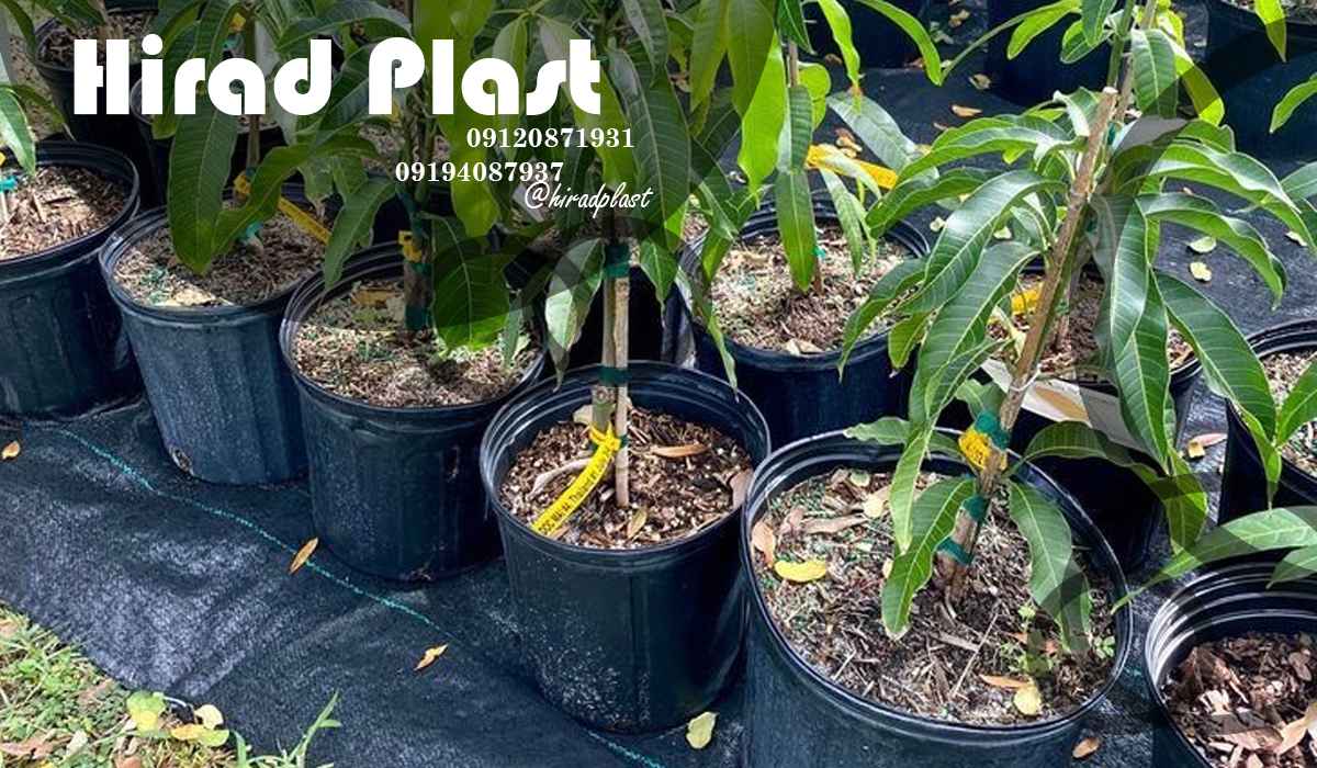 گلدان پلاستیکی ارزان