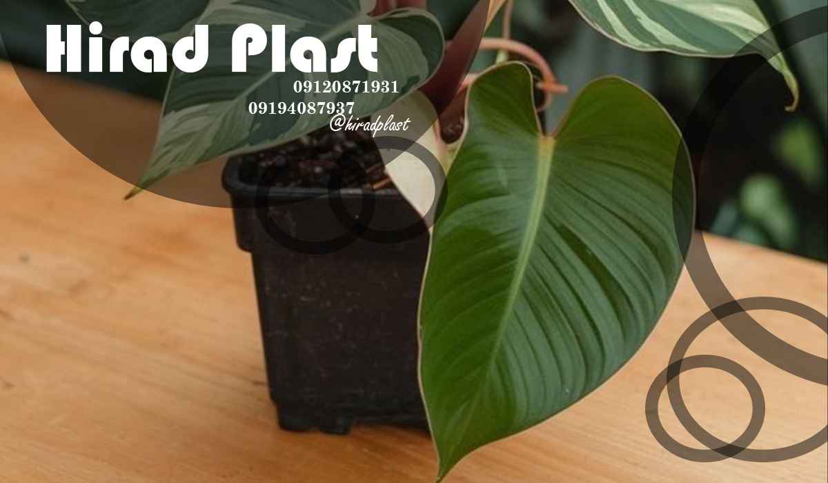 گلدان پلاستیکی باغی