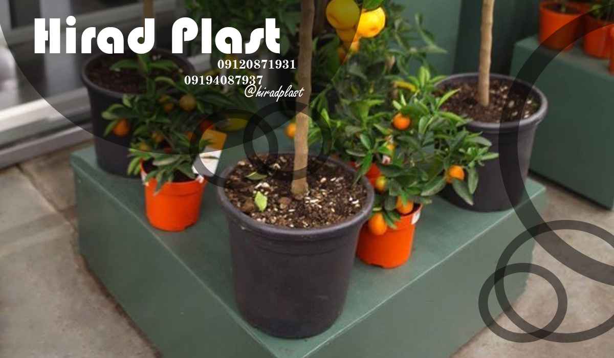 گلدان پلاستیکی عمده