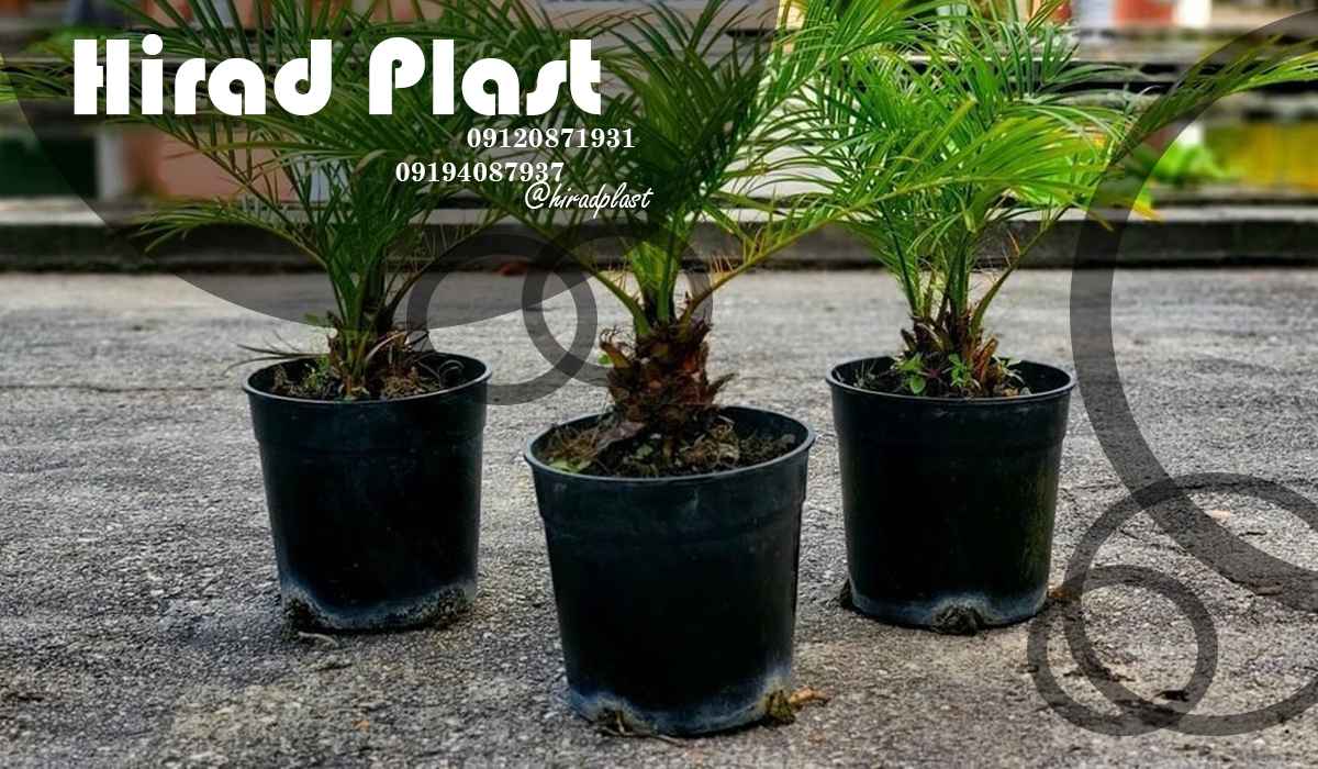 گلدان پلاستیکی مشکی