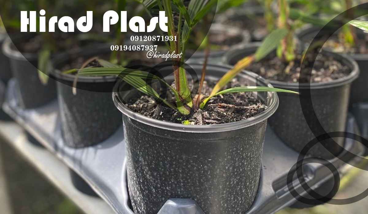 گلدان پلاستیکی نشایی