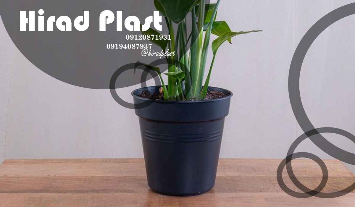 گلدان پلاستیکی گلخانه ای