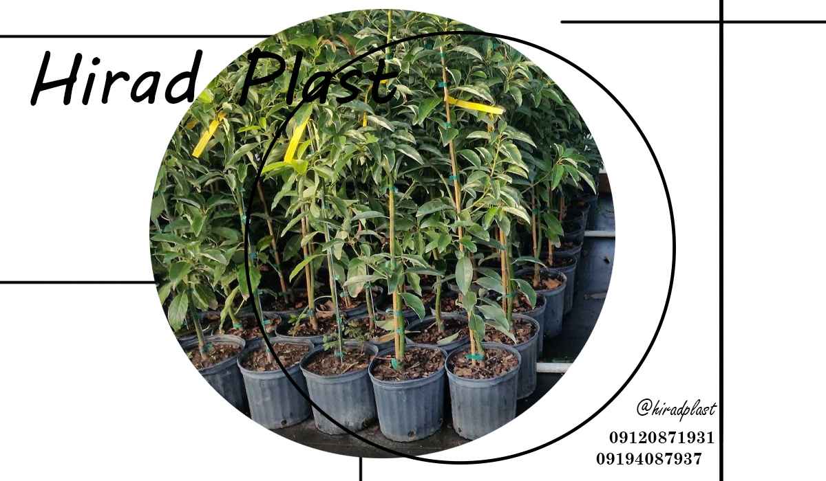 گلدان پلاستیکی