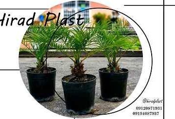 گلدان گلخانه ای