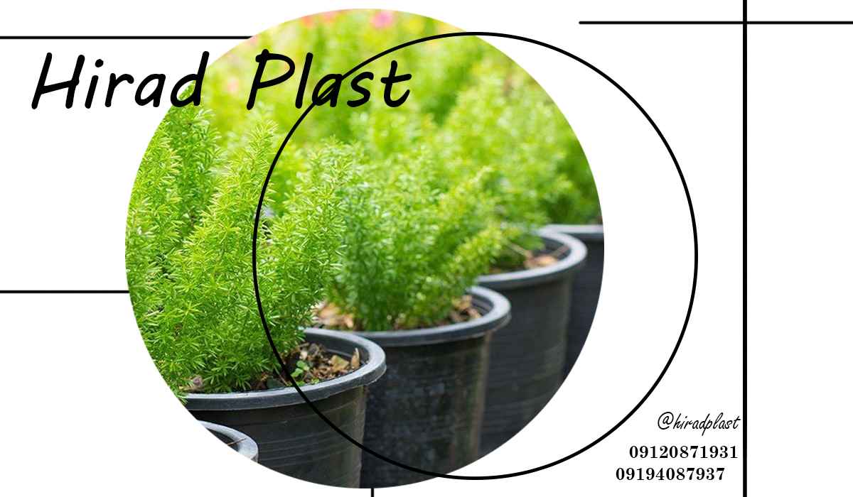 گلدان گلخانه ای عمده