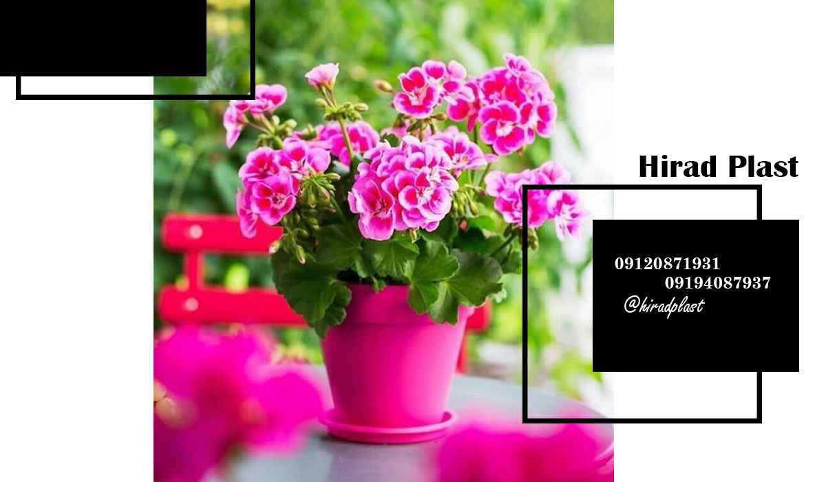 خرید گلدان پلاستیکی