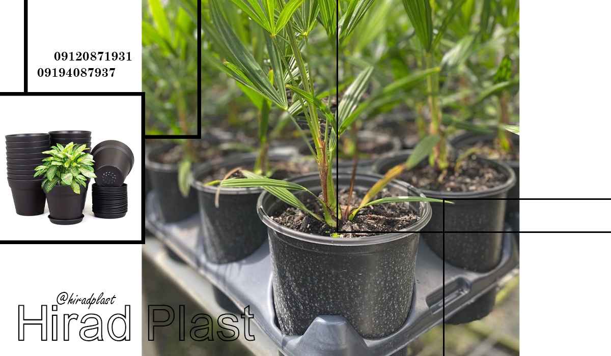 گلدان نشایی