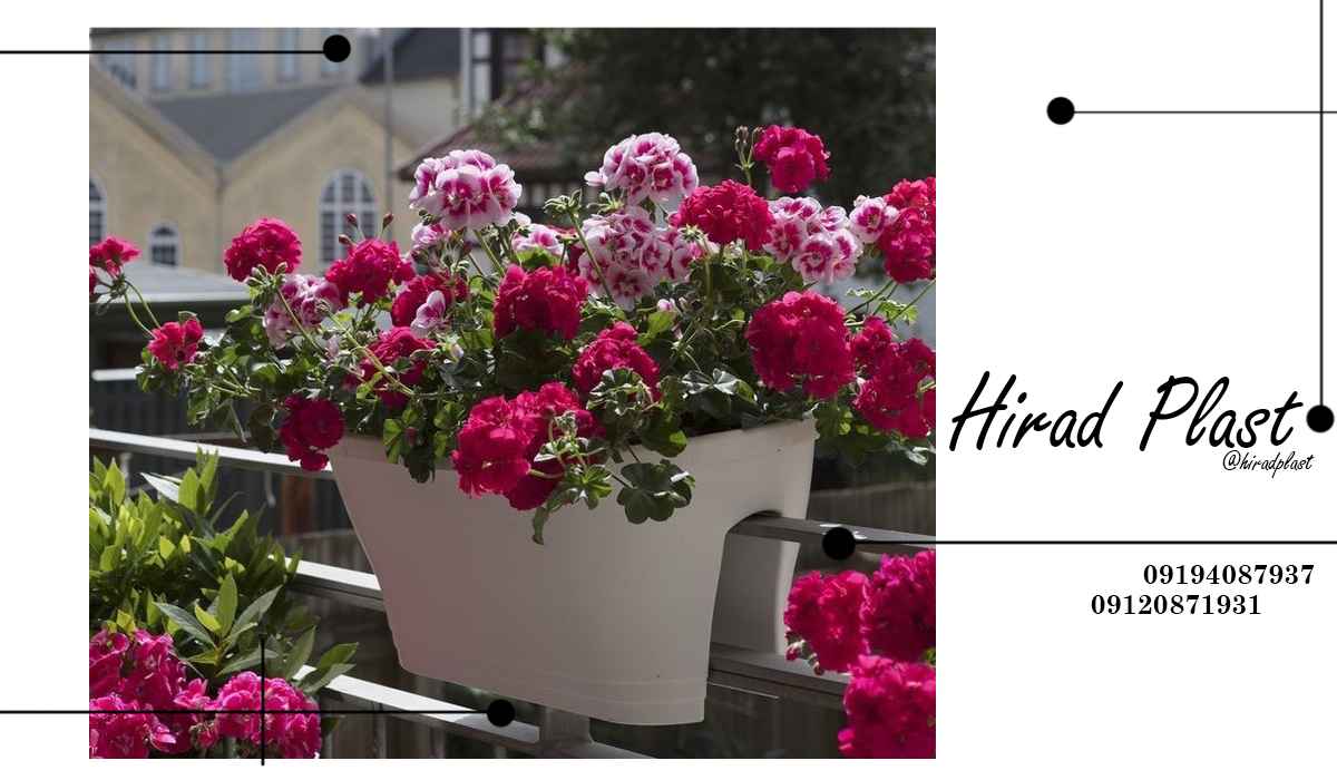 گلدان پلاستیکی