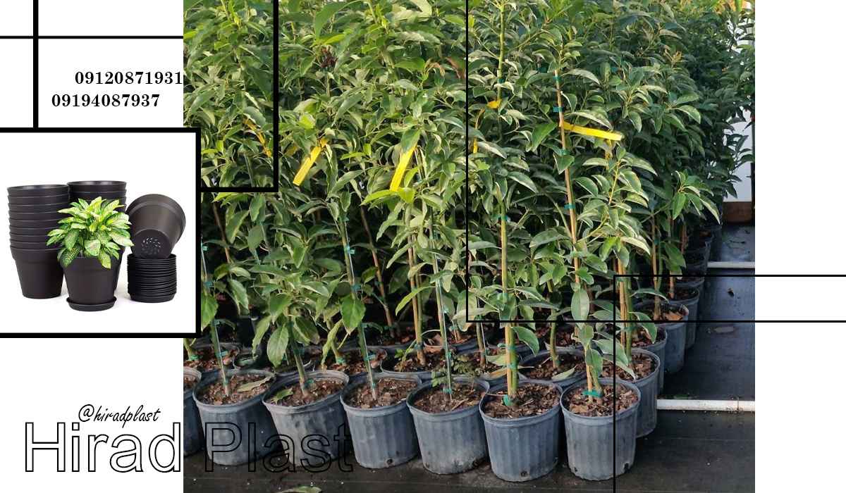 گلدان پلاستیکی ارزان