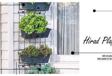 گلدان پلاستیکی ارزان