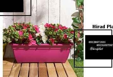 گلدان پلاستیکی دیجی کالا