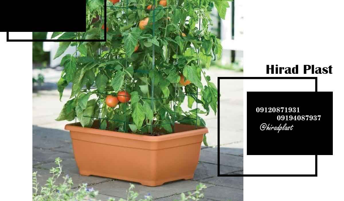 گلدان پلاستیکی سبزیجات