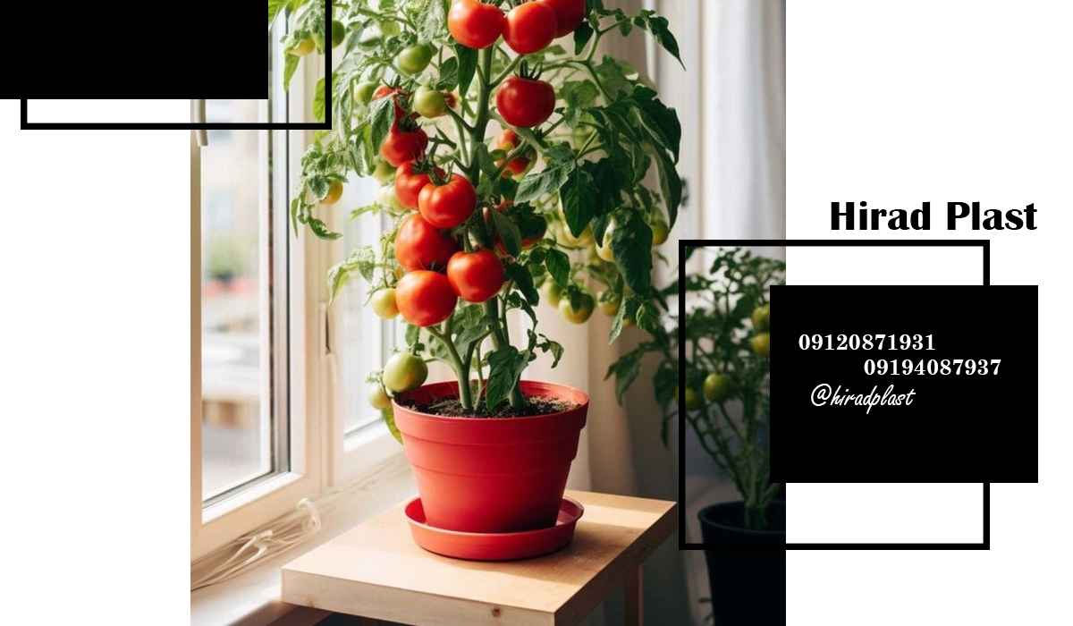 گلدان پلاستیکی عمده