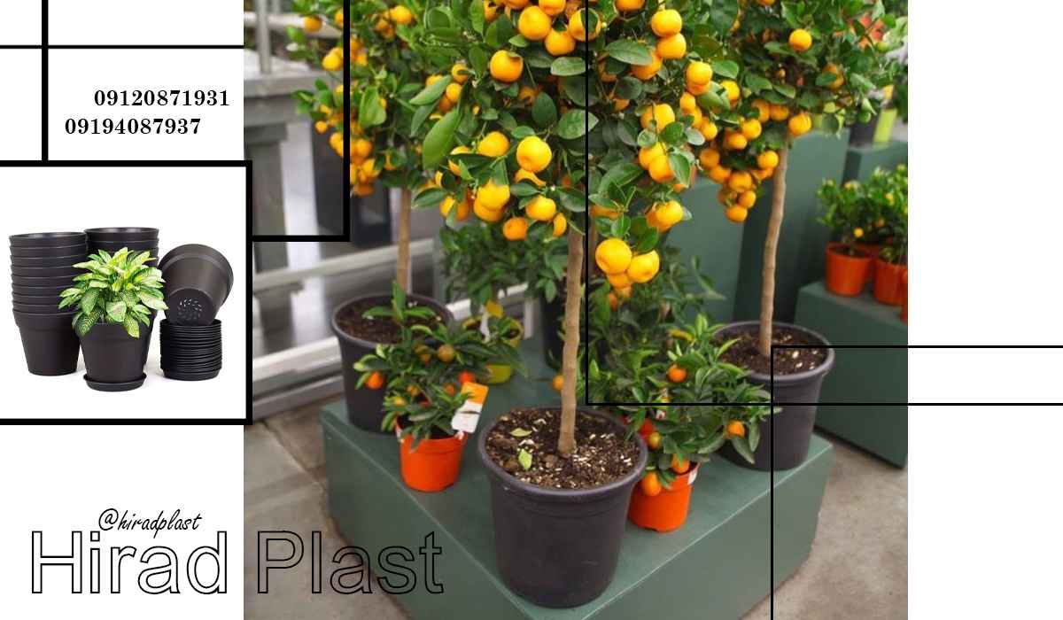 گلدان پلاستیکی مشکی