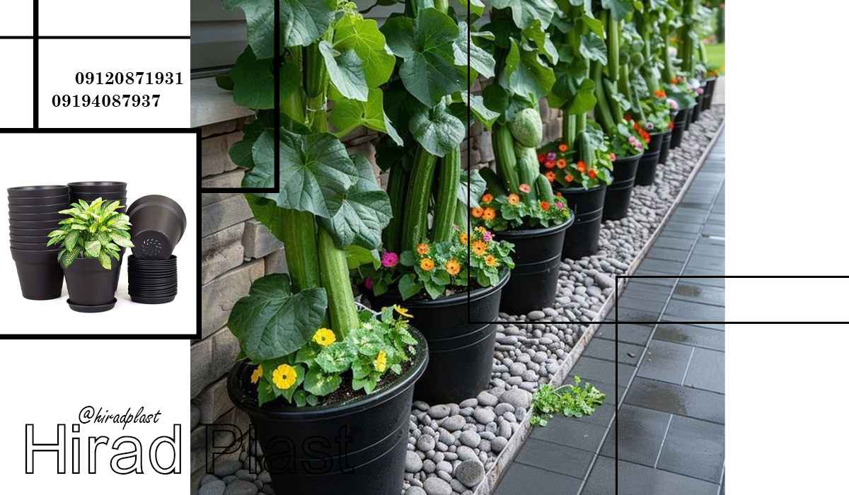 گلدان پلاستیکی گلخانه ای