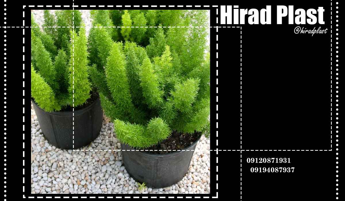 گلدان پلاستیکی گلخانه ای