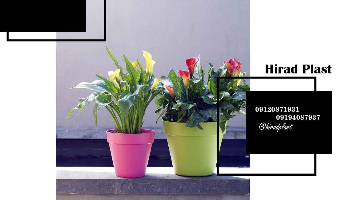 گلدان پلاستیکی گلسرخ