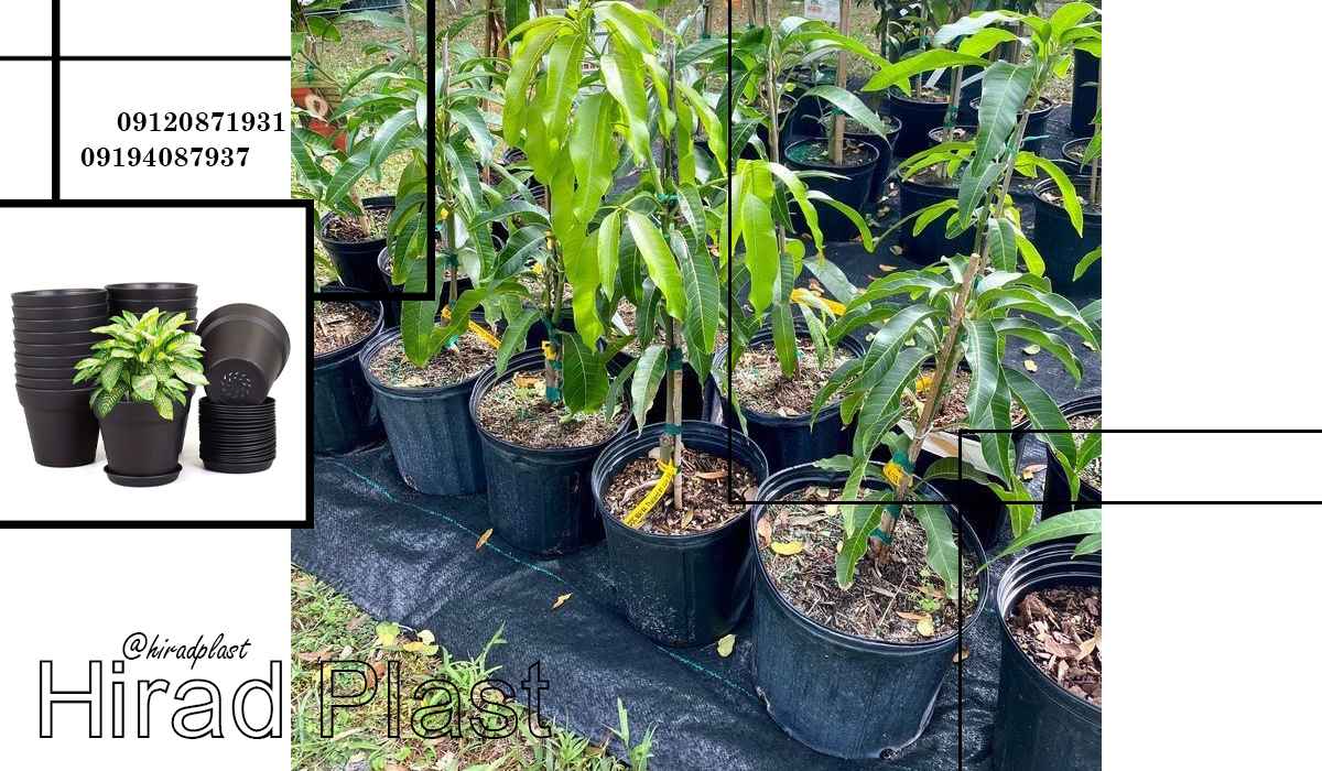 گلدان کشاورزی