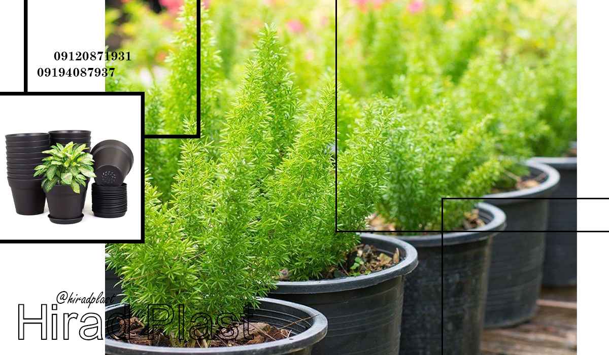 گلدان گلخانه ای