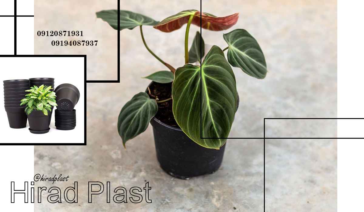 گلدان گلخانه ای عمده